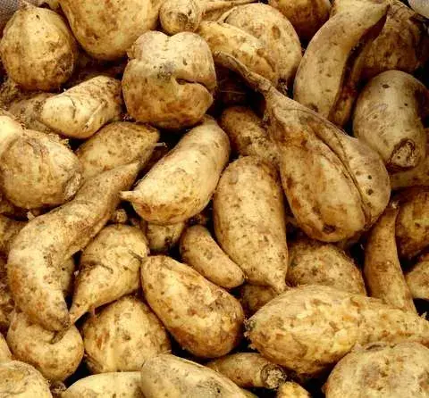 Sweet Potatoes - 1kg