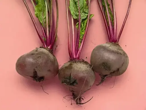 Aubergine - 1kg